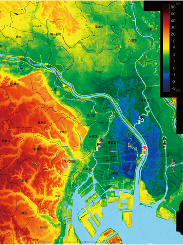 荒川下流域の地盤高平面図