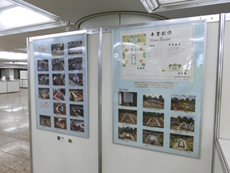 最優秀賞 実習部門:卒業庭園